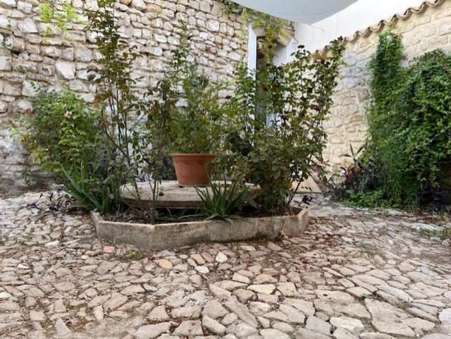 Alaminos 10 Apartment Úbeda Екстериор снимка